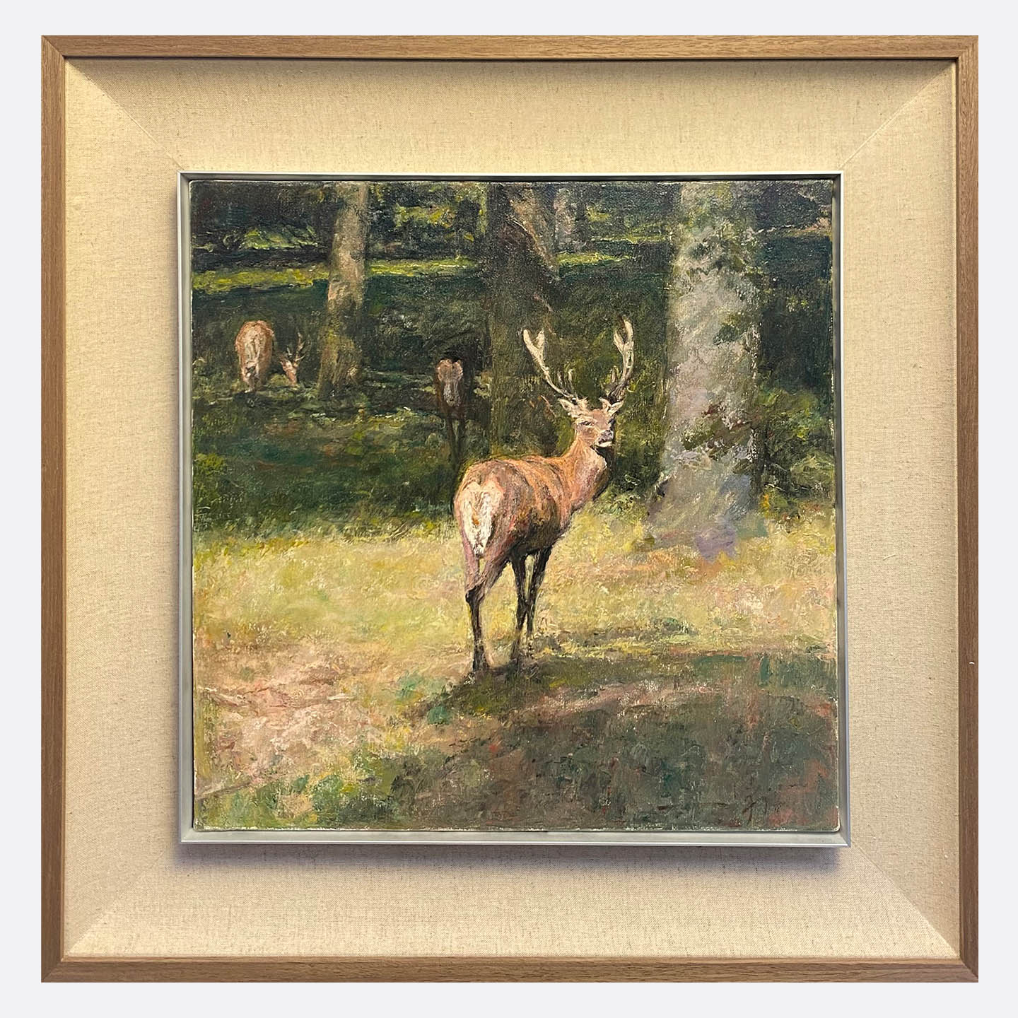 "Deer Collection07" Oil Painting