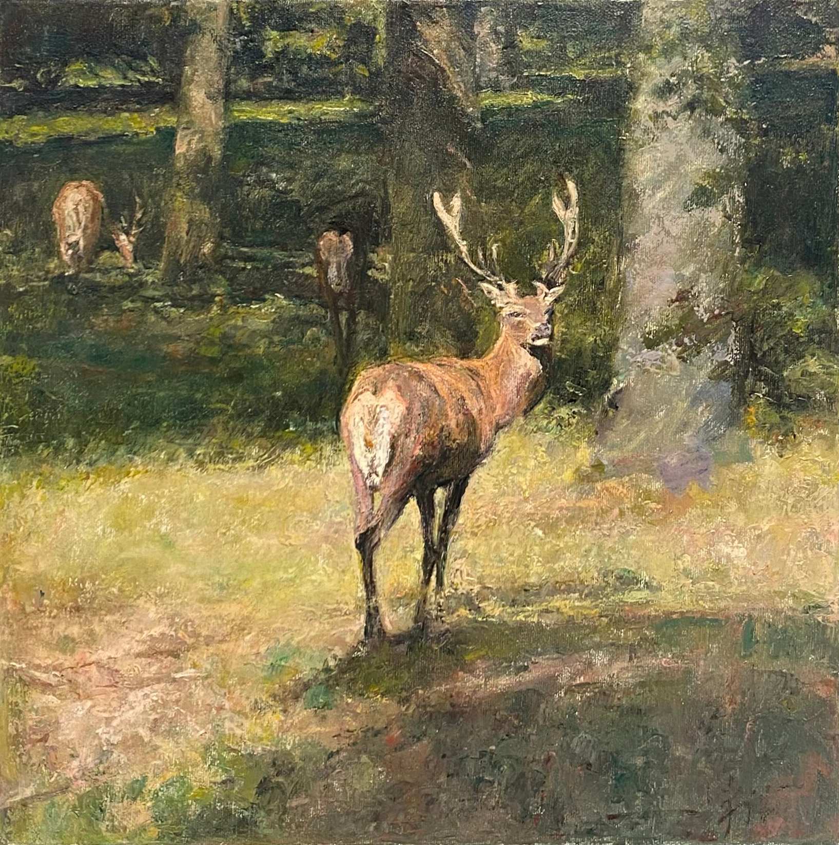 "Deer Collection07" Oil Painting