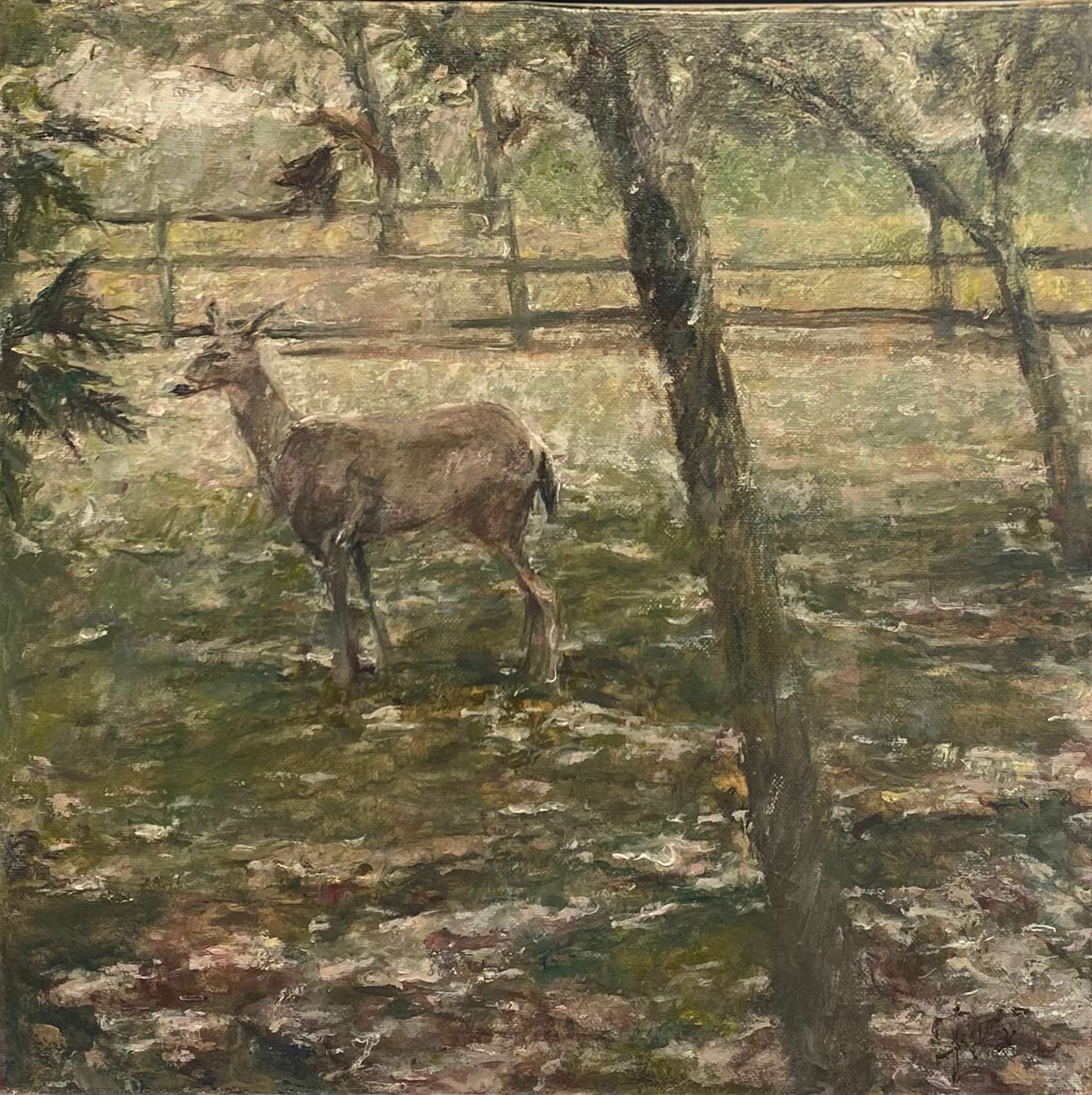 "Deer Collection08" Oil Painting