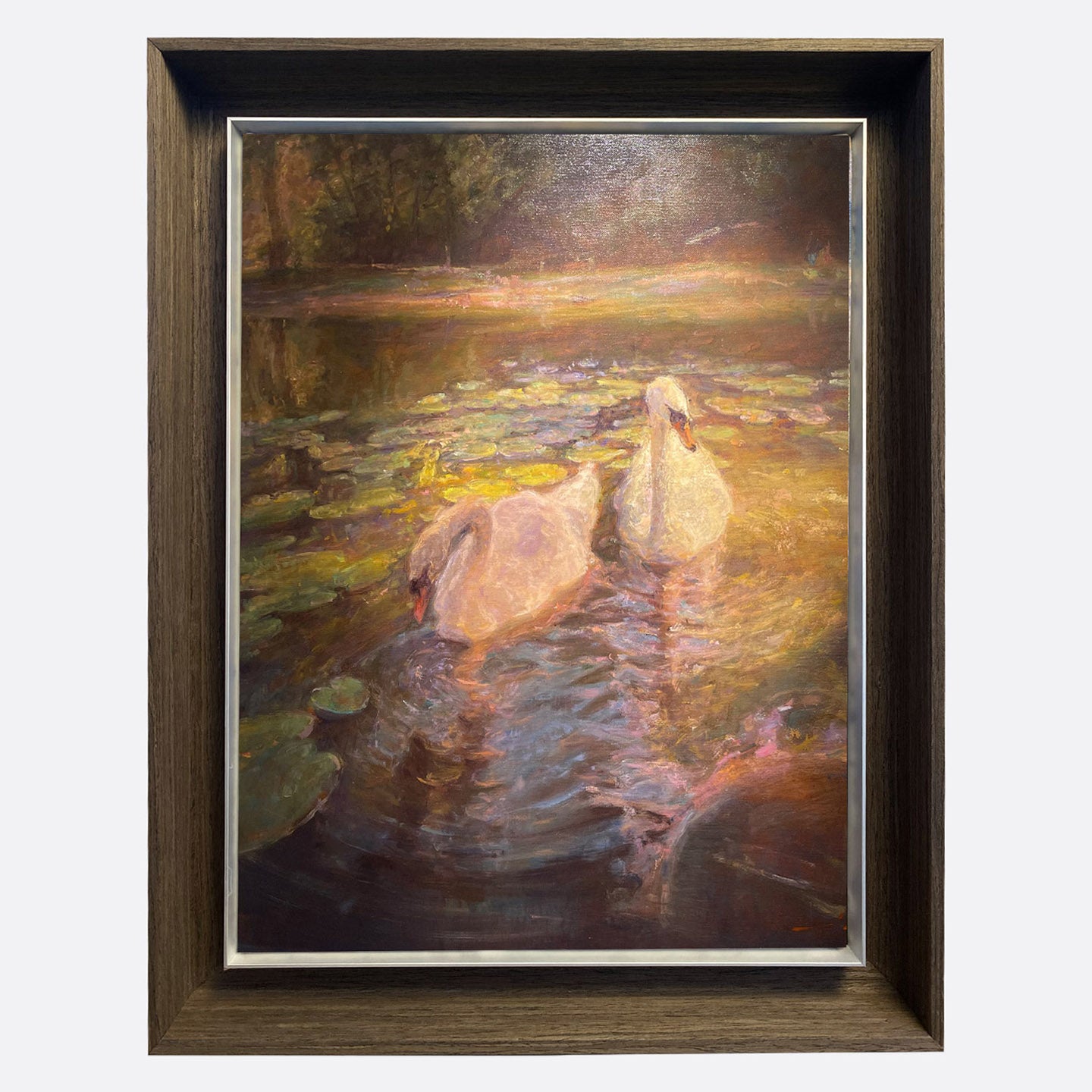 "Swan Collection01" Oil Painting