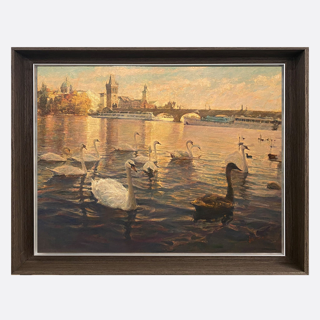 "Swans-of-the-Vltava-River Collection01" Oil Painting