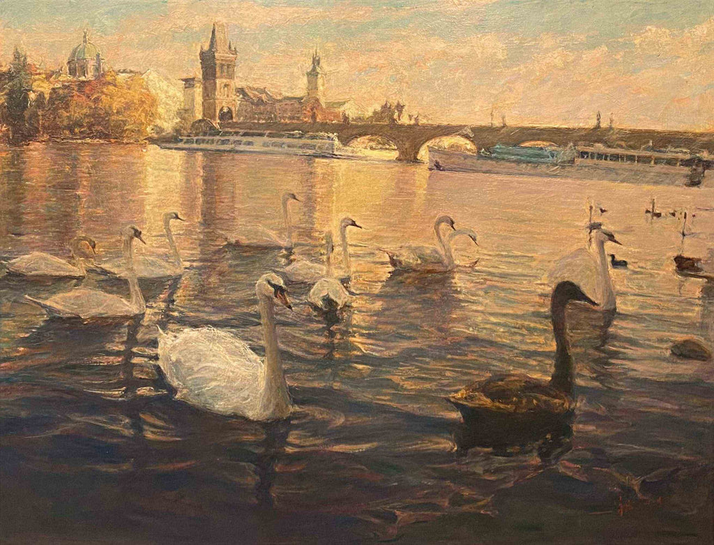 "Swans-of-the-Vltava-River Collection01" Oil Painting